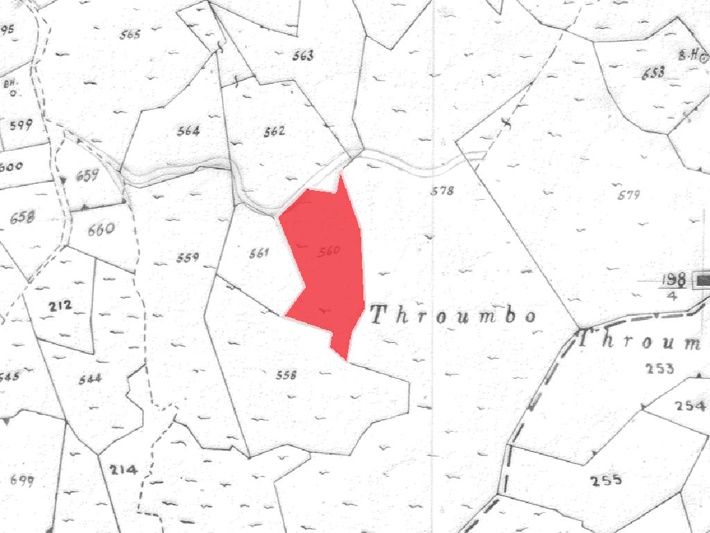 Field-Kalo Chorio-PR41545