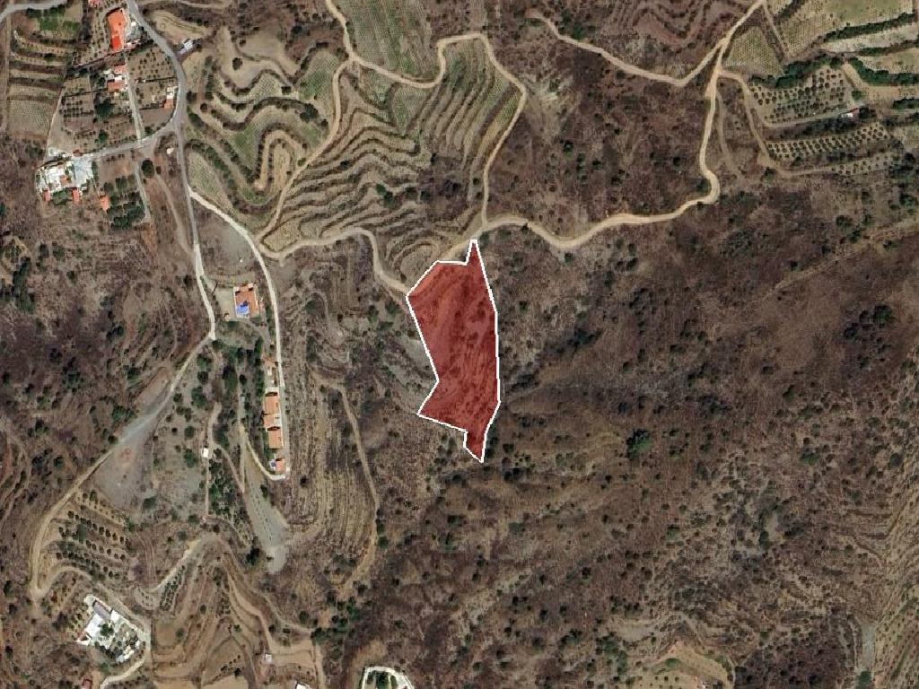 Field-Kalo Chorio-PR41545