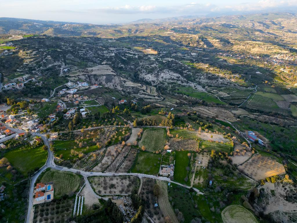 Field - Kallepia, Paphos