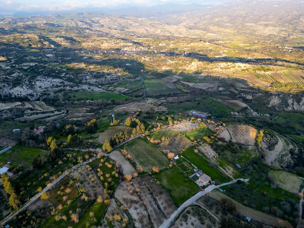Field - Kallepia, Paphos
