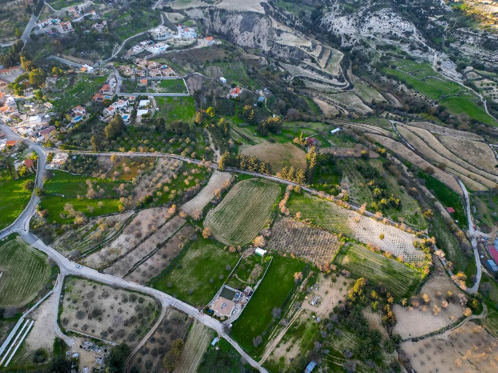Field - Kallepia, Paphos