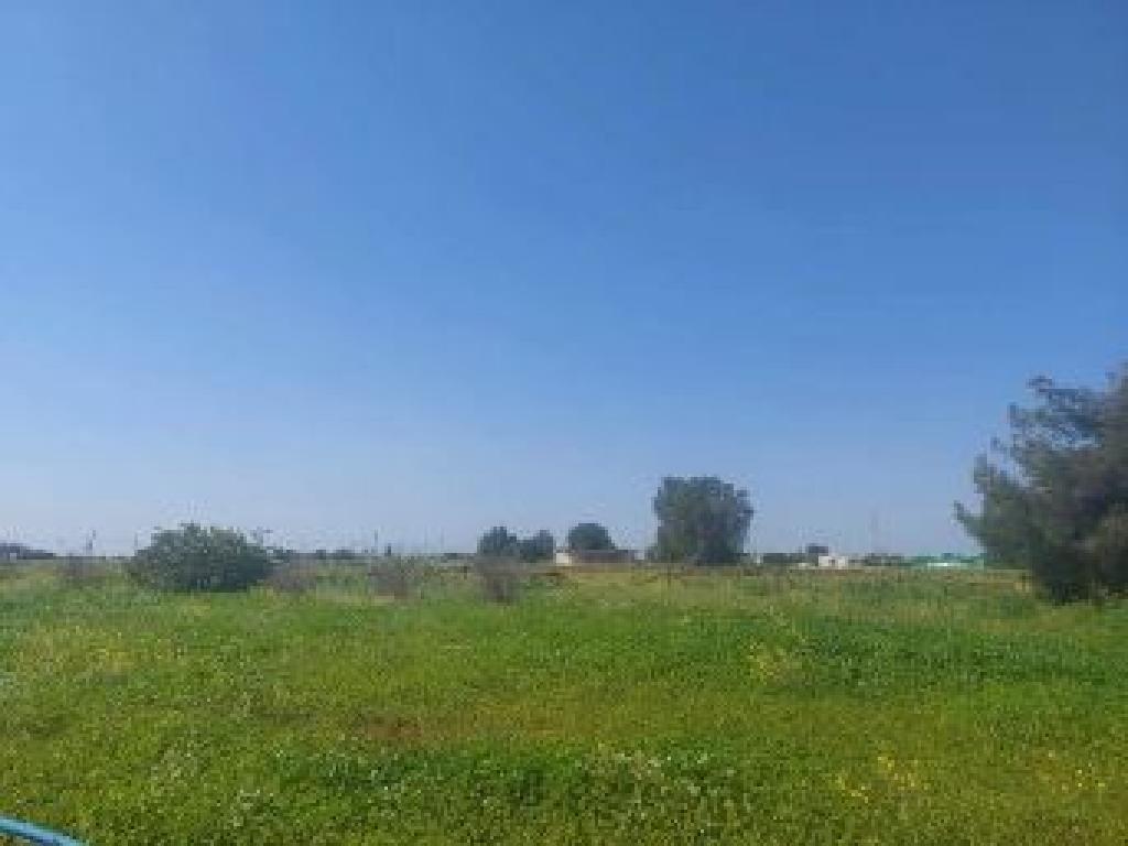 Field-Frenaros-CP10116