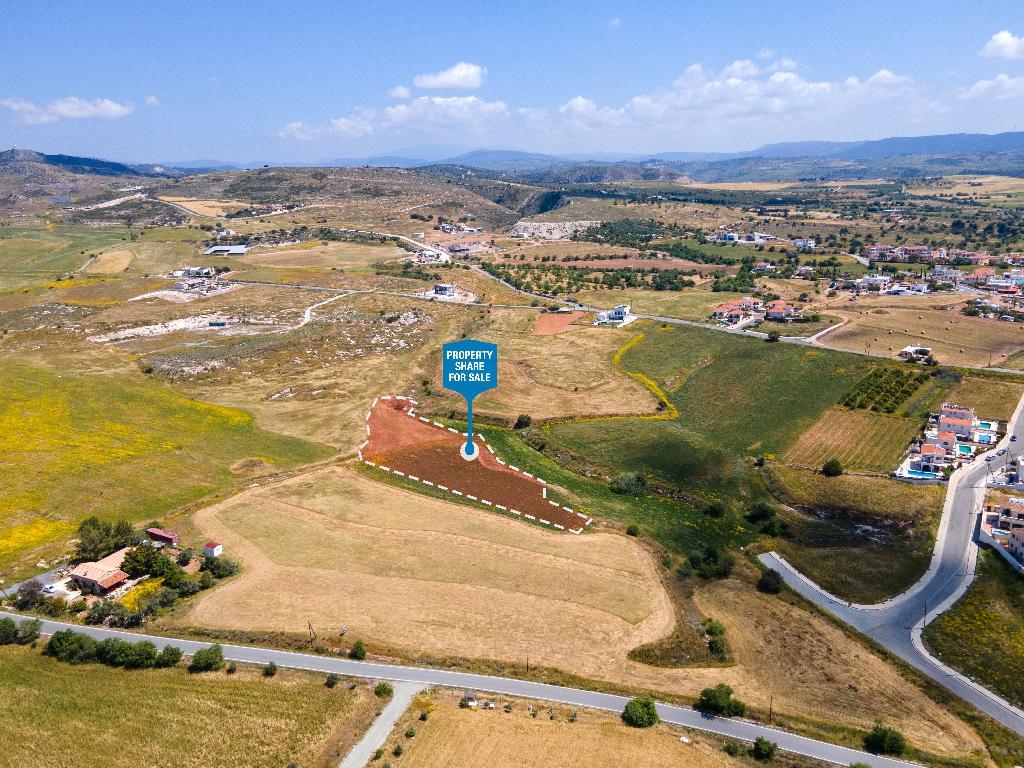 Field-Anarita-PR42533