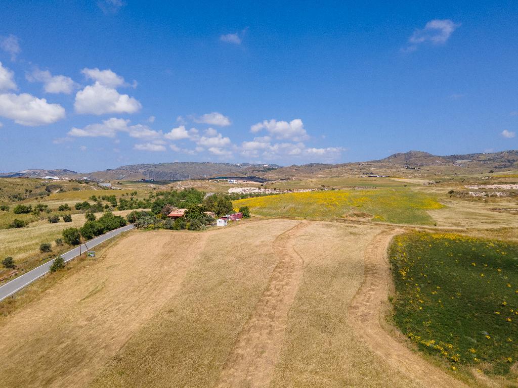 Field-Anarita-PR42533