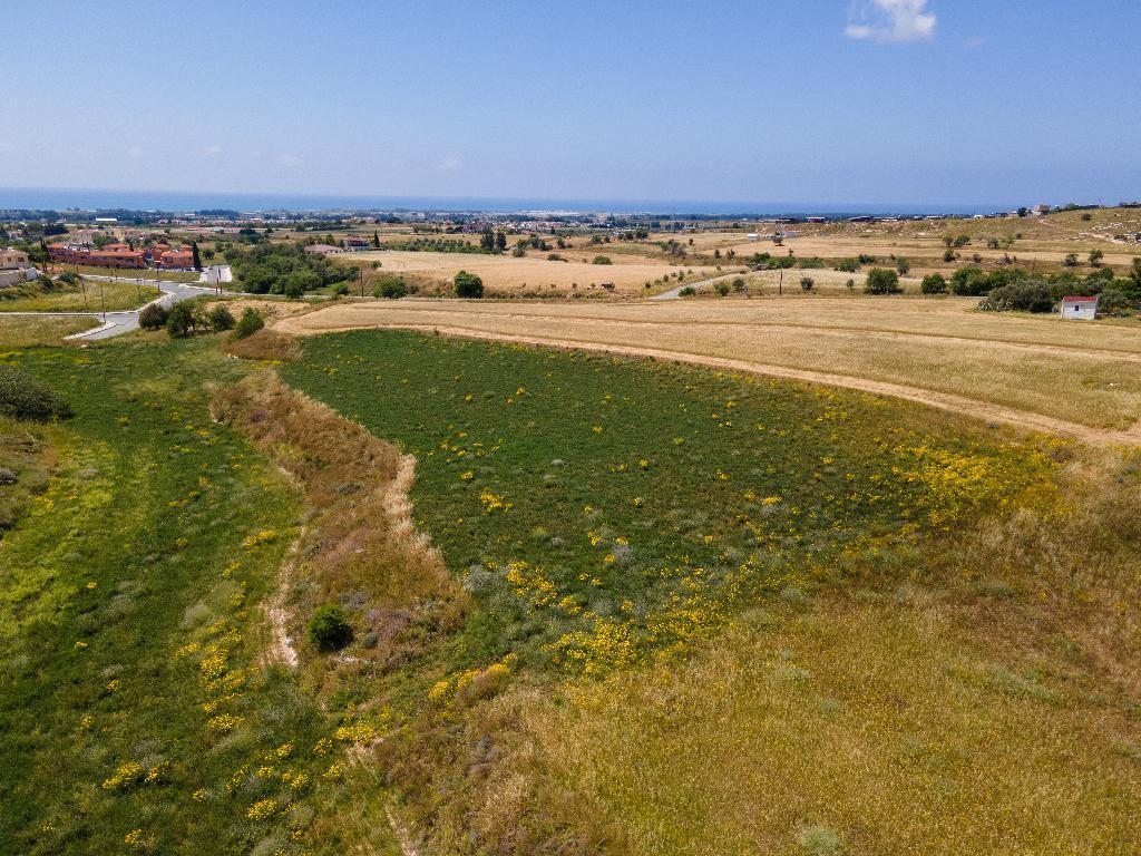 Field-Anarita-PR42533