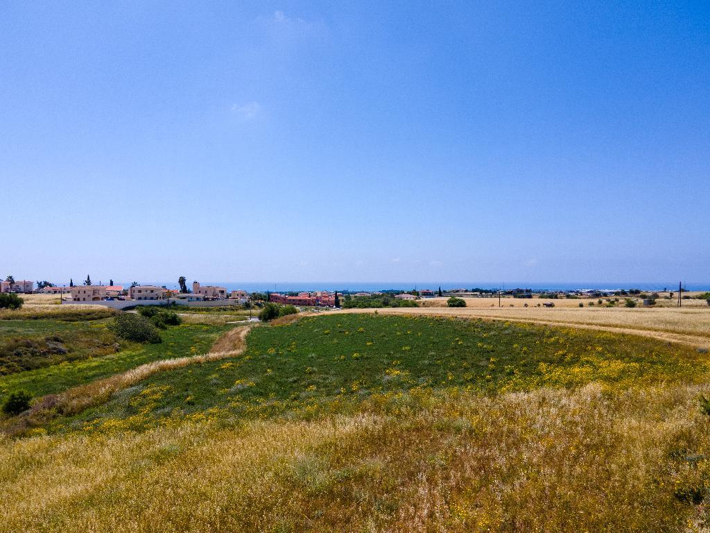 Field-Anarita-PR42533
