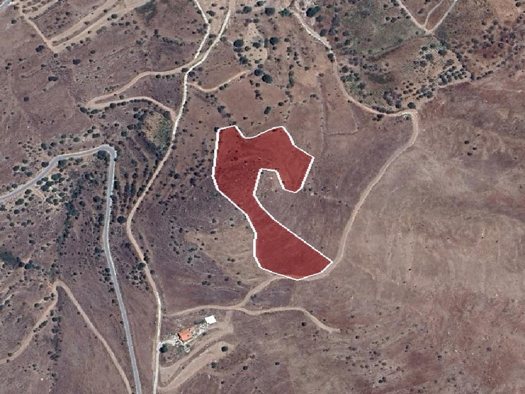 Field-Pentalia-PR42452