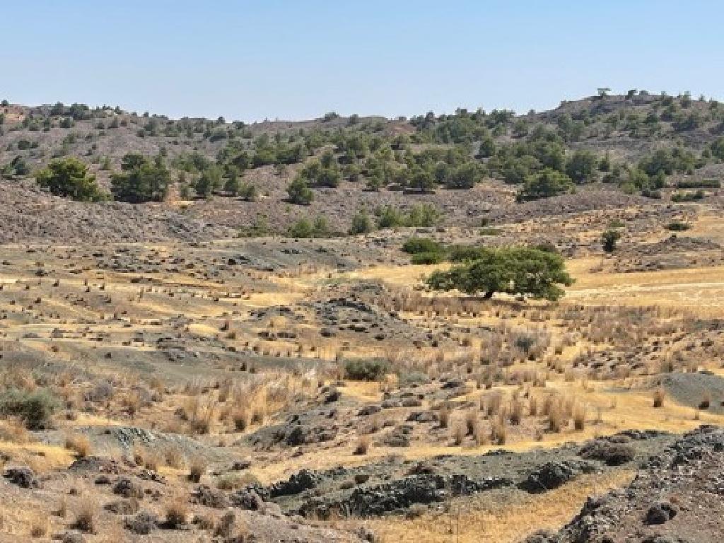 Field - Politiko, Nicosia