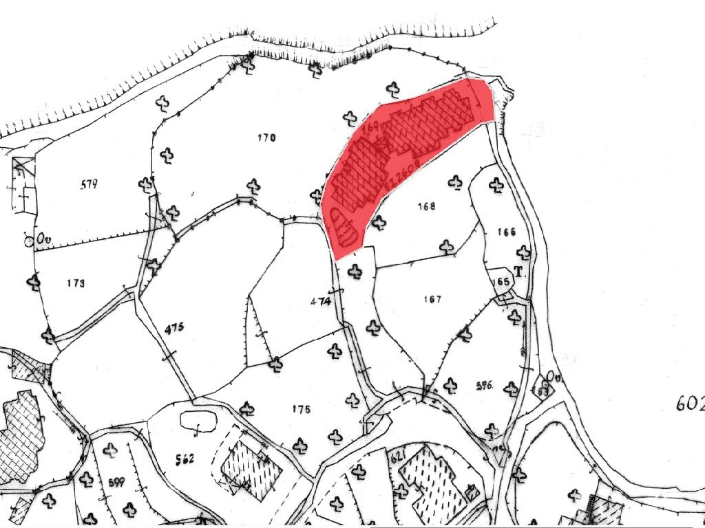 Flat-Tala-PR43653