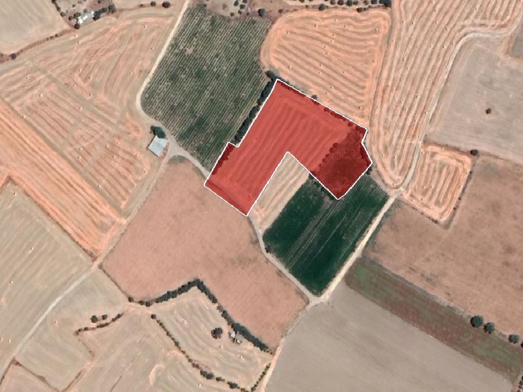 Field - Episkopeio, Nicosia