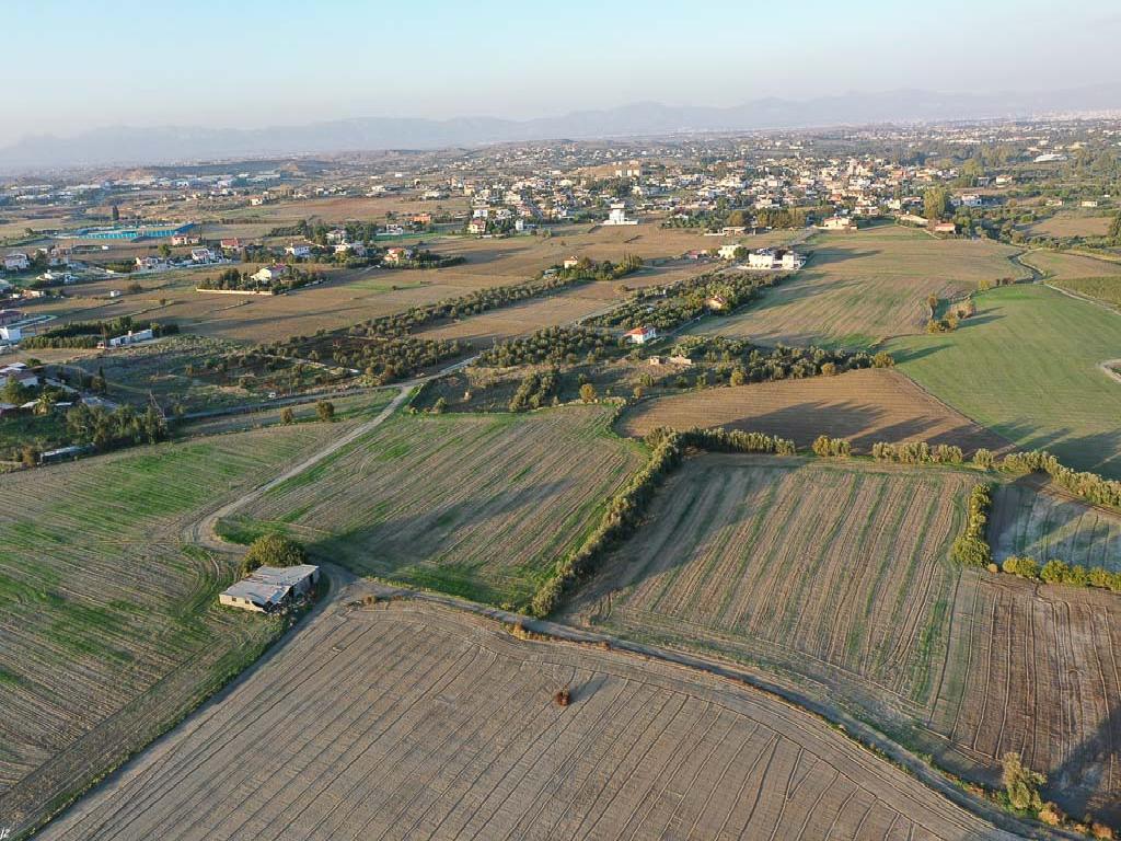 Field - Episkopeio, Nicosia