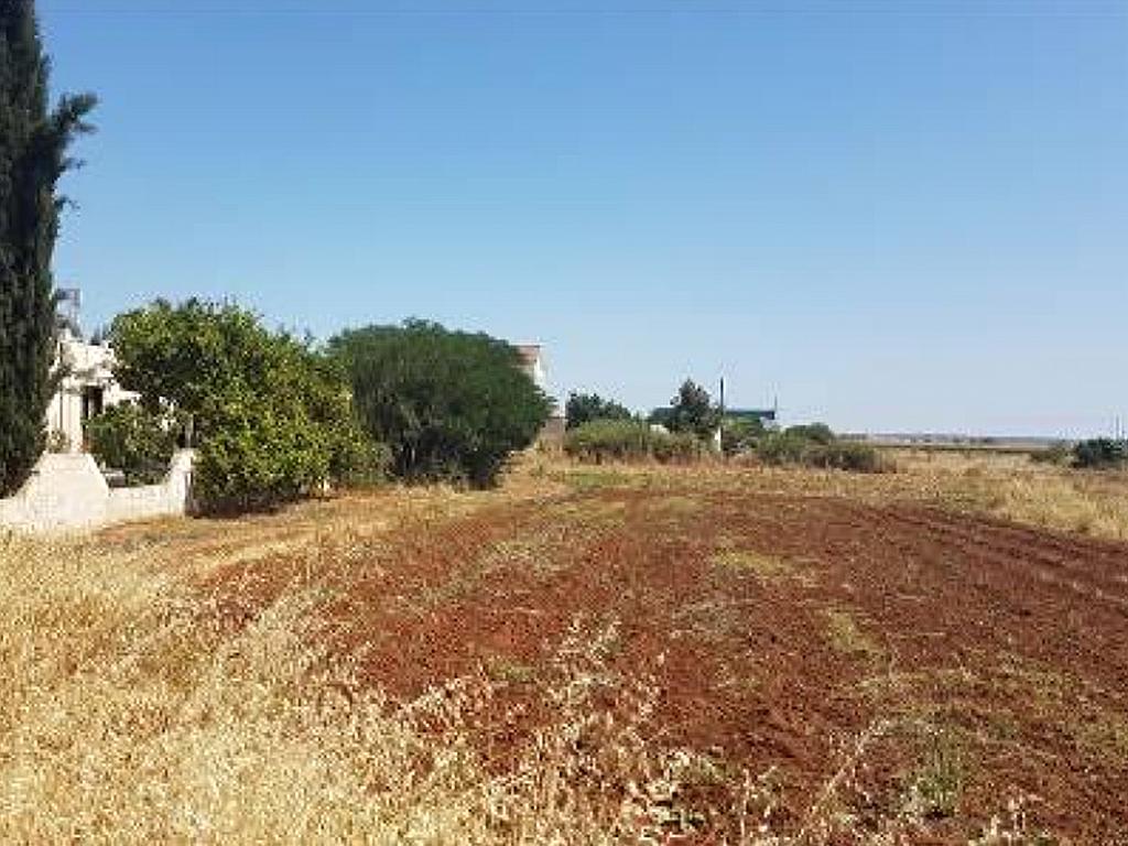 Field (Share) - Derynia, Famagusta