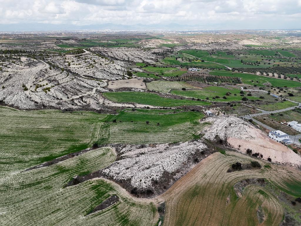 Field-Analiontas-PR33581