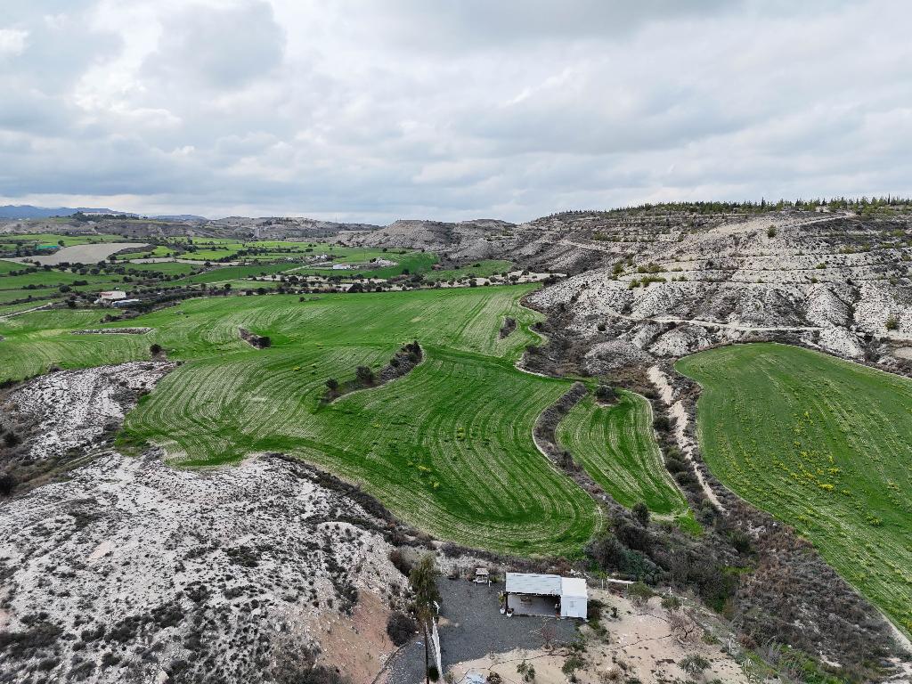 Field-Analiontas-PR33581