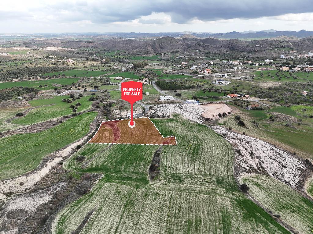 Field-Analiontas-PR33581
