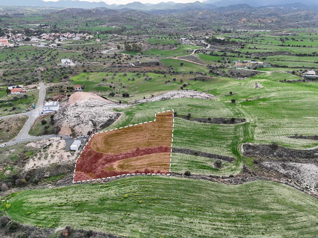 Field-Analiontas-PR33581