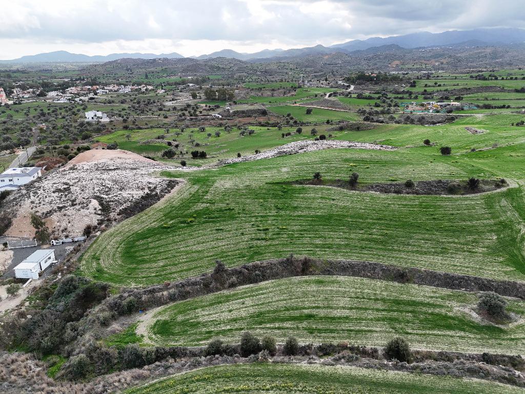 Field-Analiontas-PR33581
