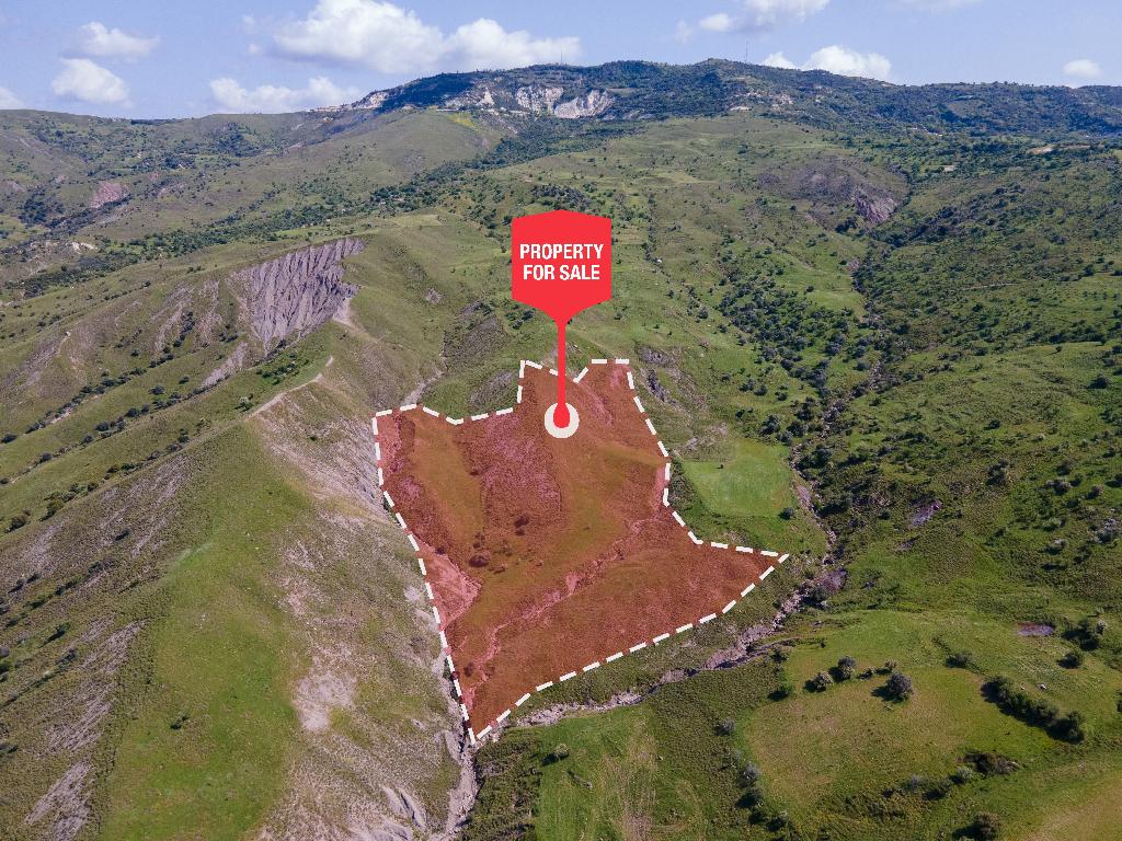 Field-Kelokedara-PR33310