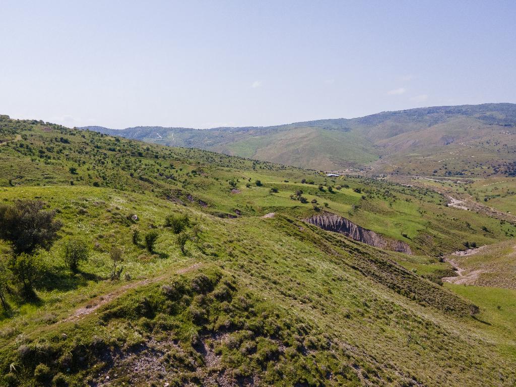 Field-Kelokedara-PR33310