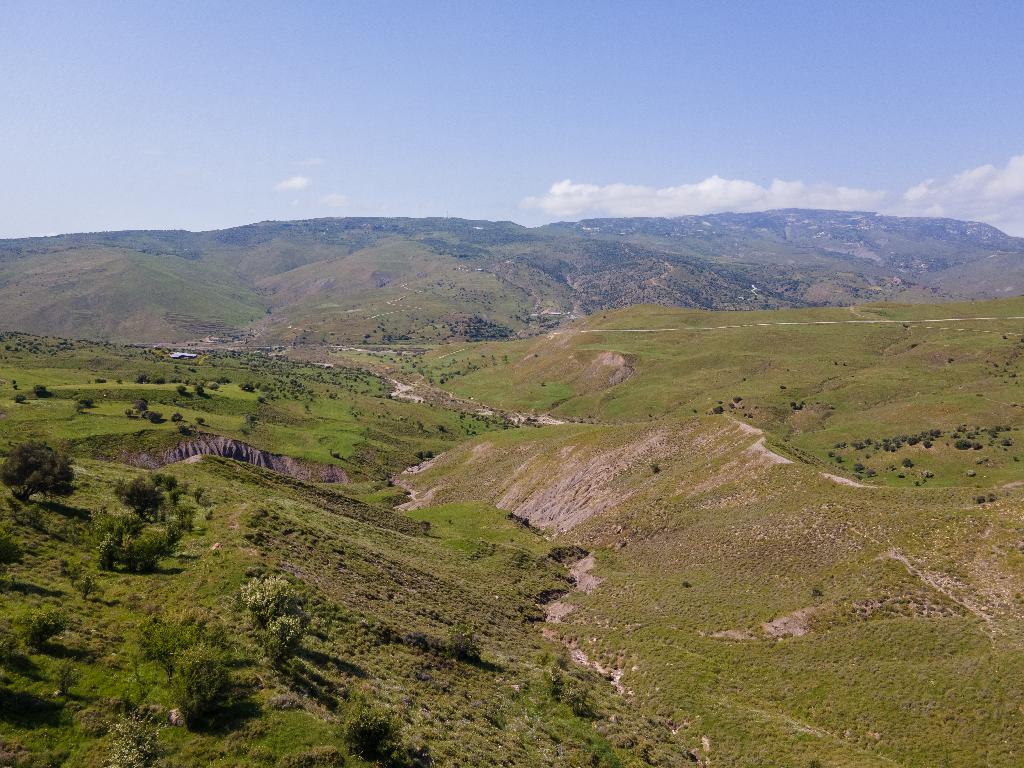 Field-Kelokedara-PR33310