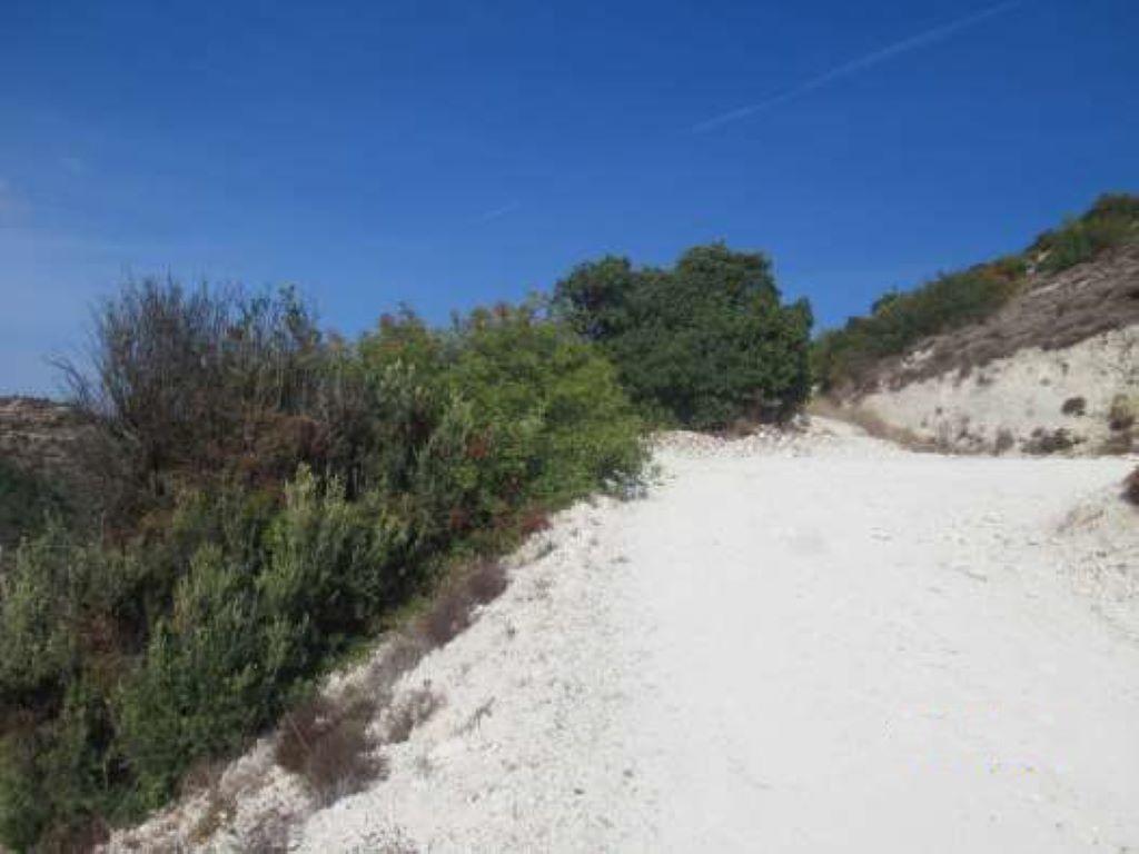 Field-Amargeti-PR34860