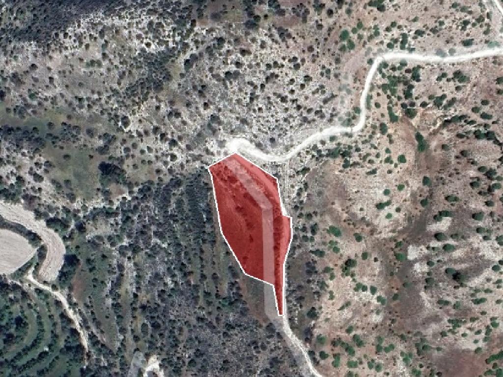 Field-Amargeti-PR34860