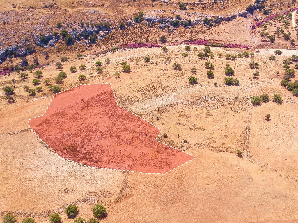 Field - Neo Chorio, Paphos