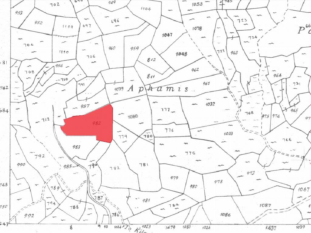 Field-Koilani-PR35025