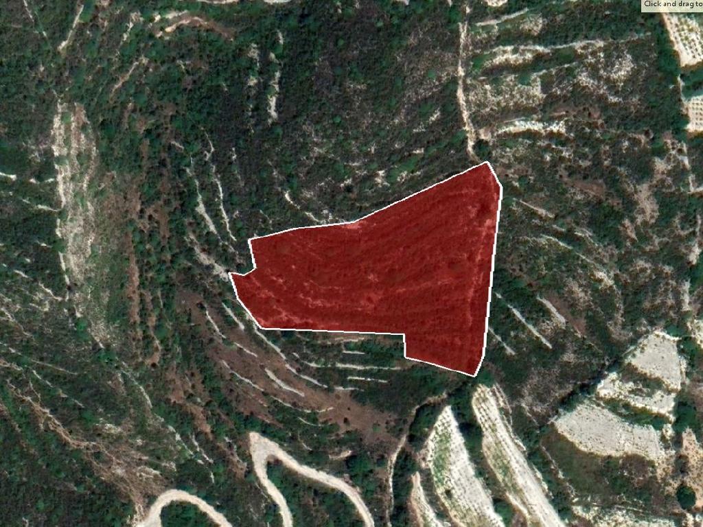 Field-Koilani-PR35025