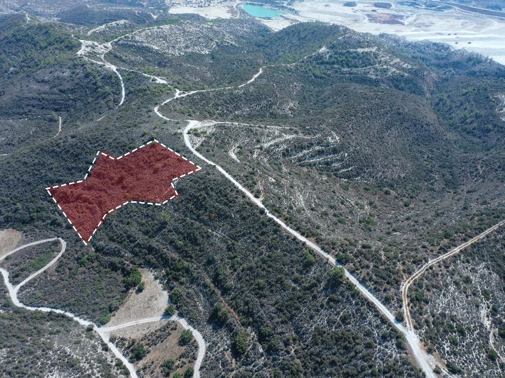 Field-Asgata-PR35575