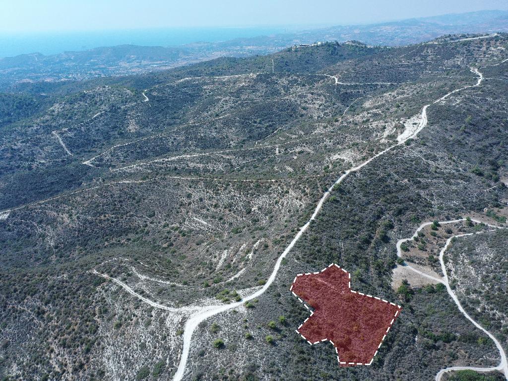Field-Asgata-PR35575