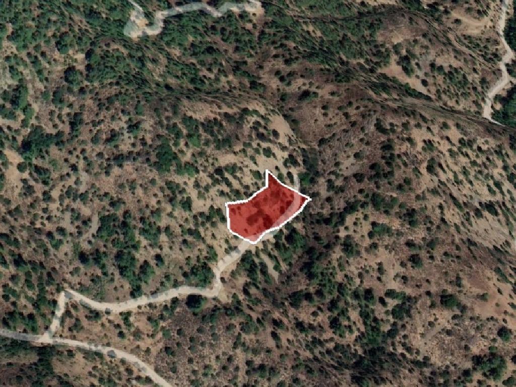Field-Kaminaria-PR35624