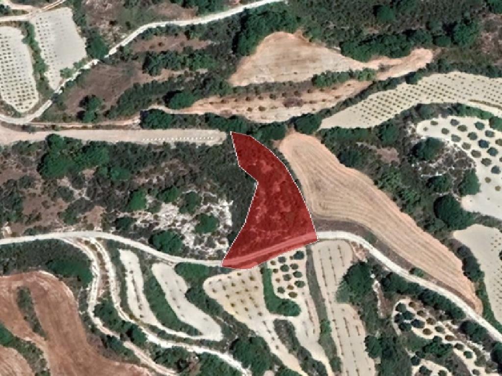Field-Polemi-PR37137