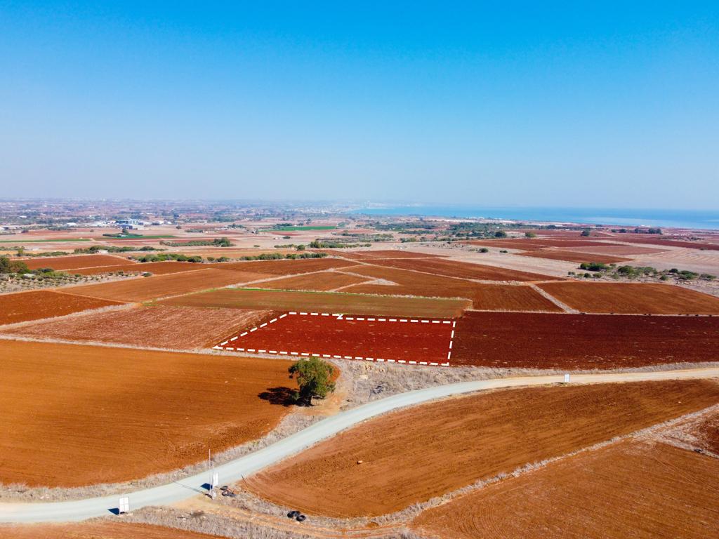 Field-Xylofagou-PR38067