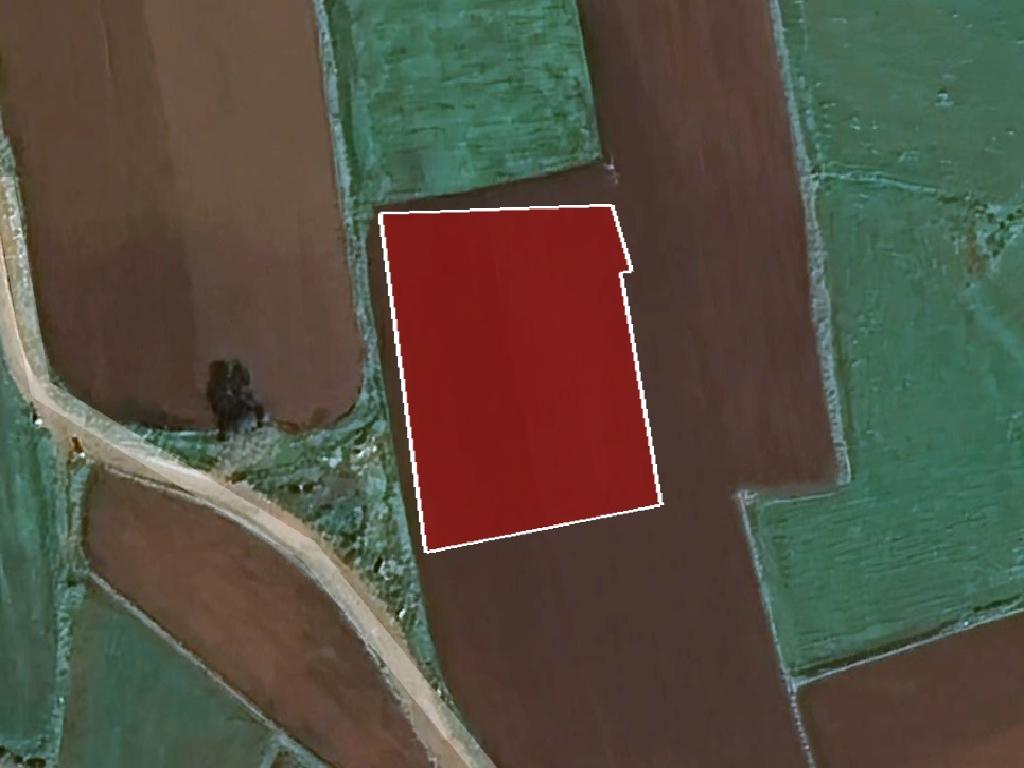 Field-Xylofagou-PR38067
