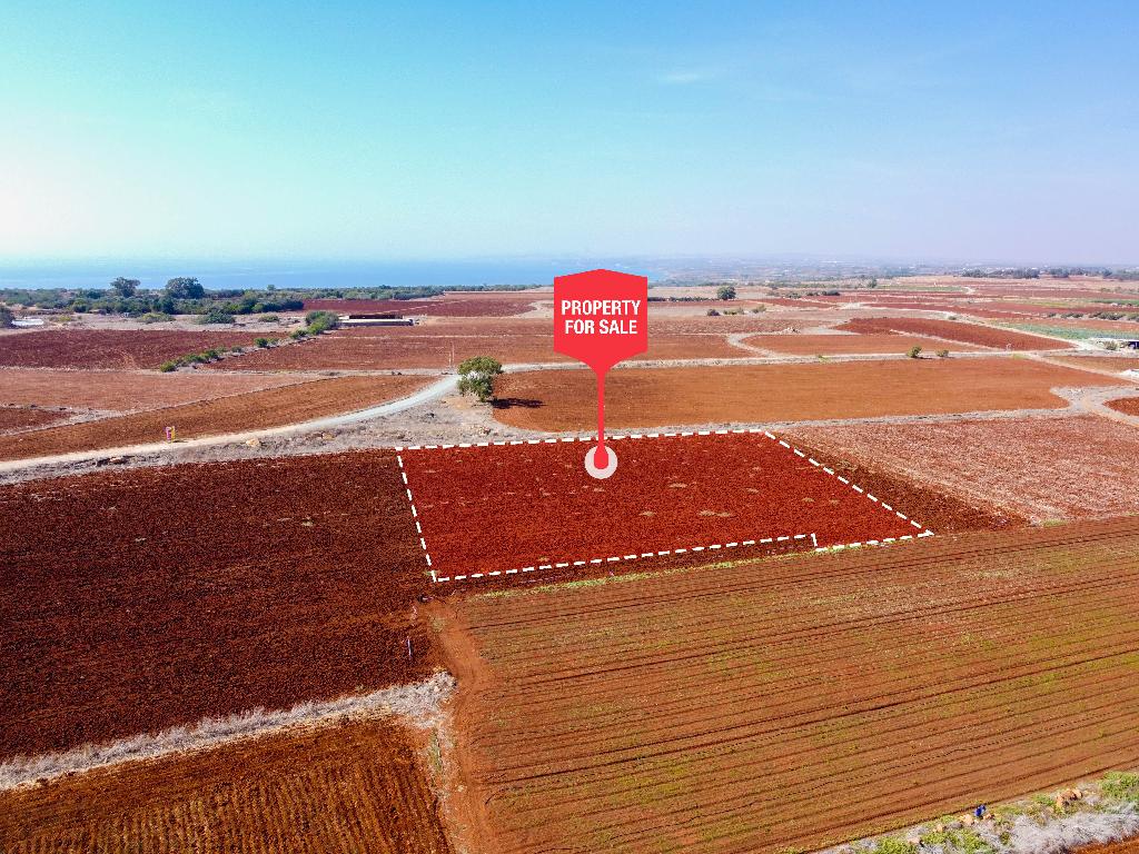 Field-Xylofagou-PR38067