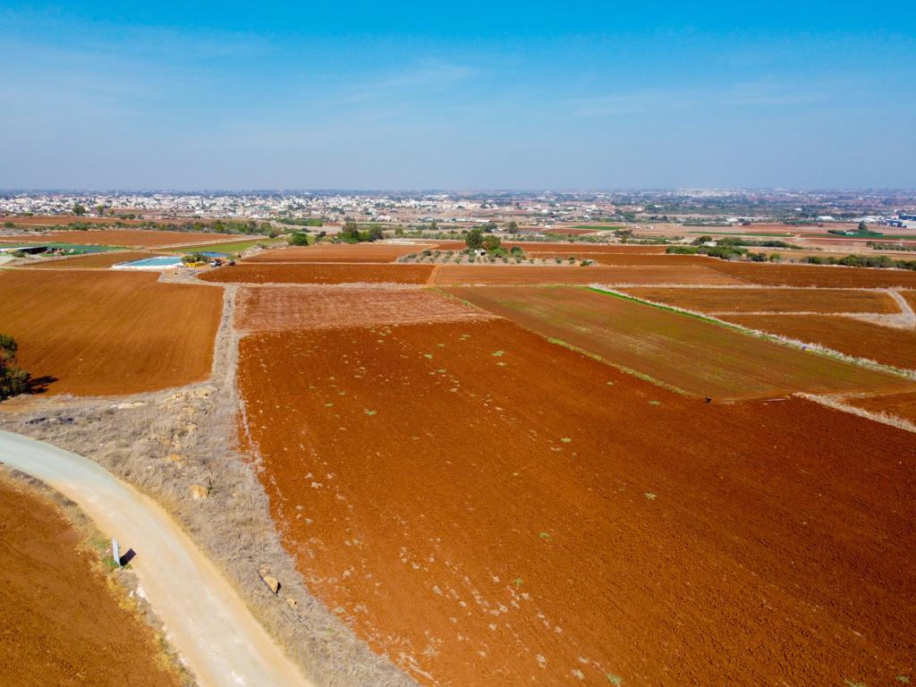 Field-Xylofagou-PR38067