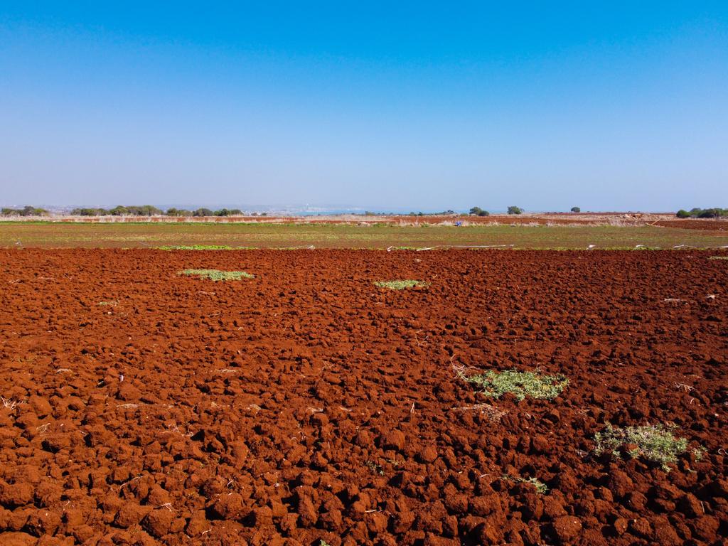 Field-Xylofagou-PR38067
