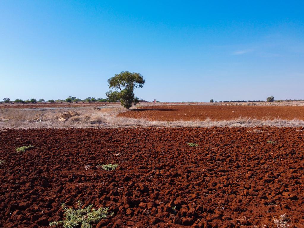 Field-Xylofagou-PR38067
