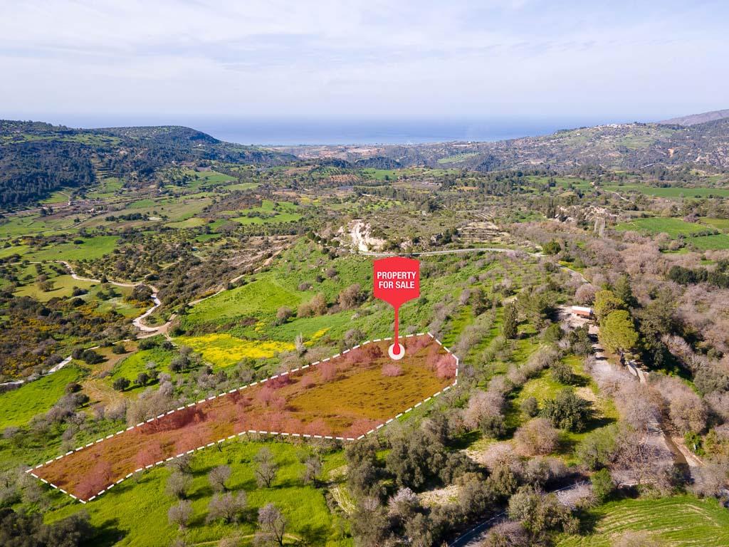 Field - Lysos, Paphos