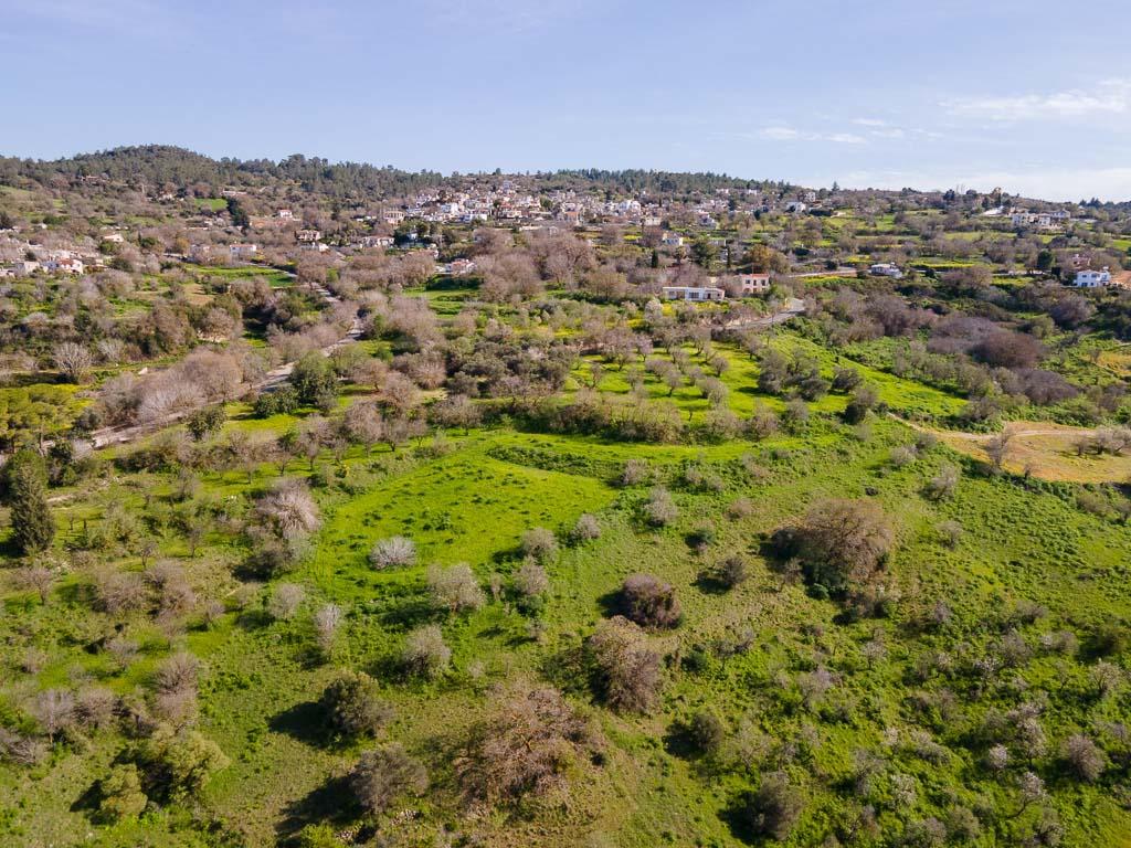 Field - Lysos, Paphos