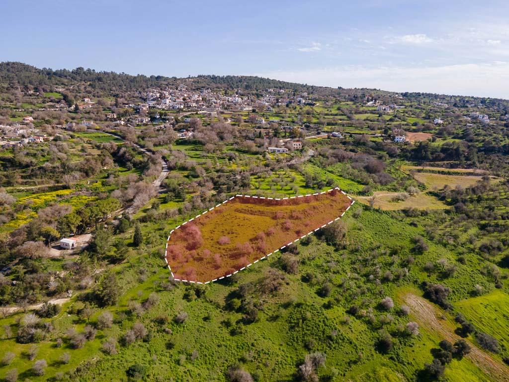 Field - Lysos, Paphos