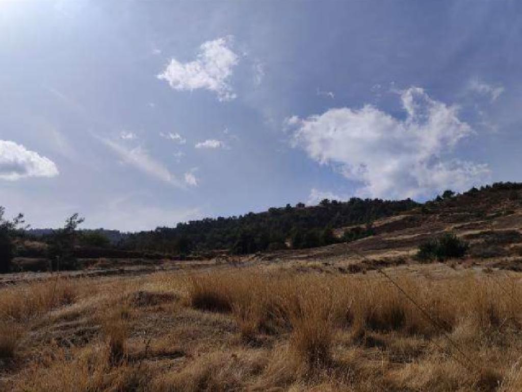 Field-Pano Pyrgos-PR38573