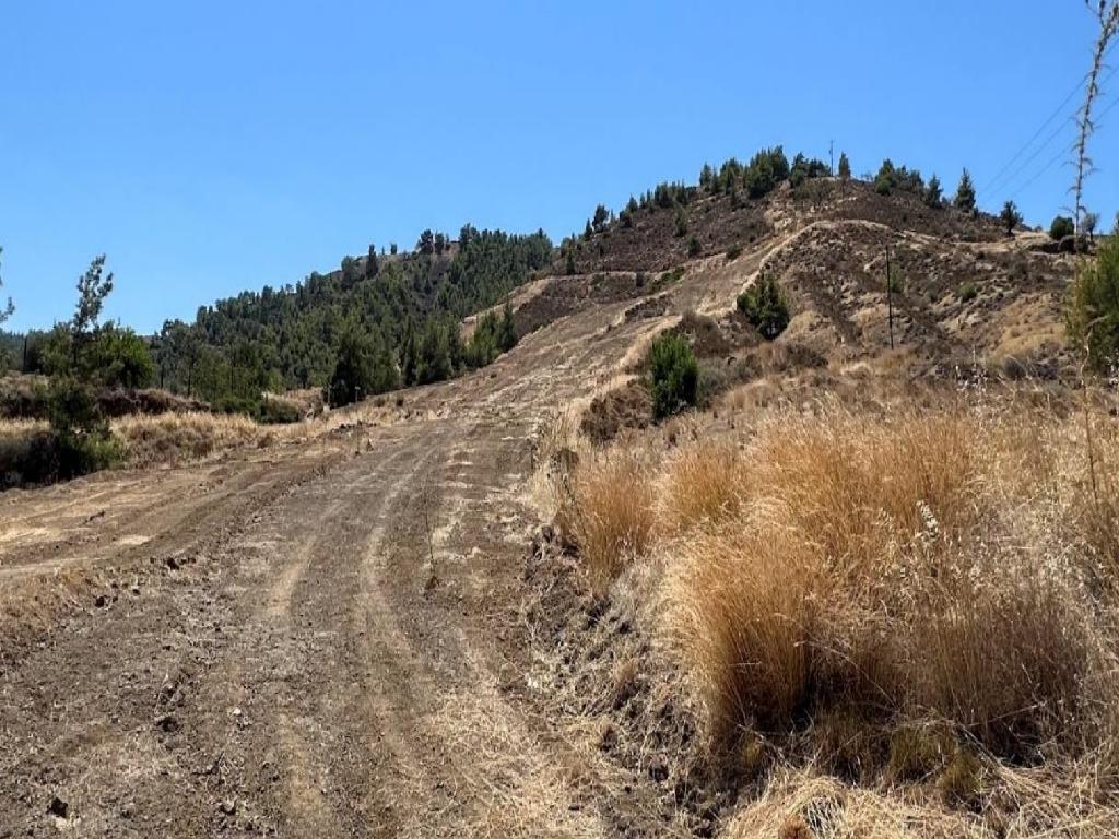 Field-Pano Pyrgos-PR38573