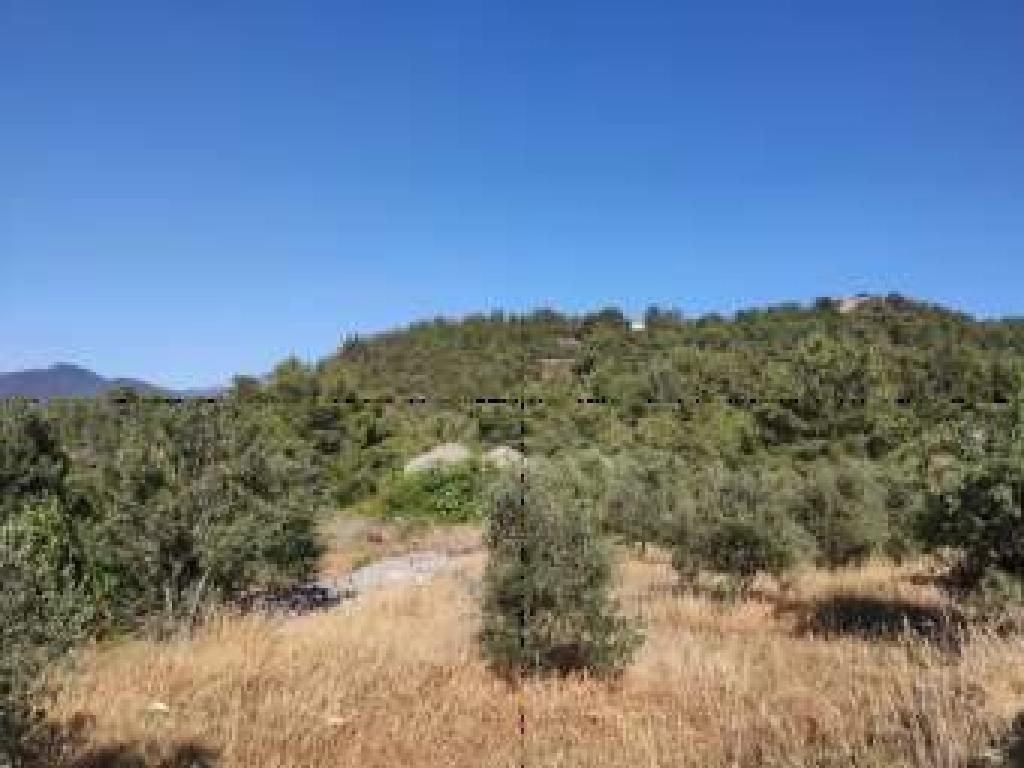 Field-Kynousa-PR39764