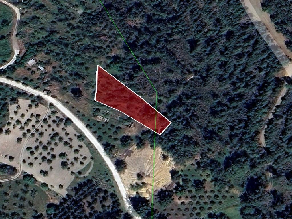 Field-Kynousa-PR39764