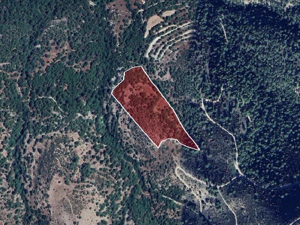 Field-Anogira-PR40948