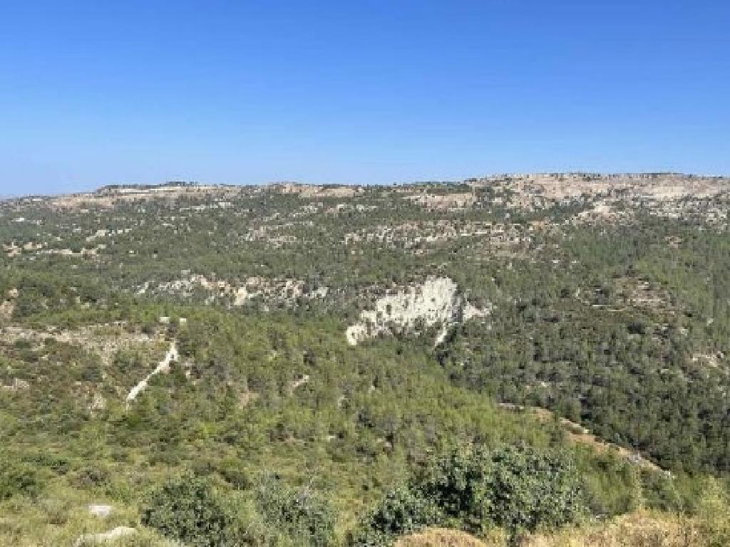 Field-Anogira-PR40948