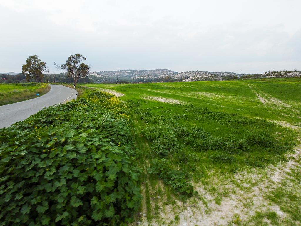 Field-Aradippou-PR41760