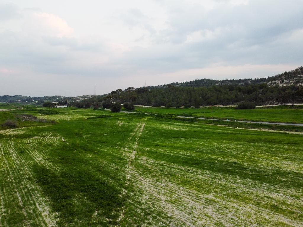Field-Aradippou-PR41760